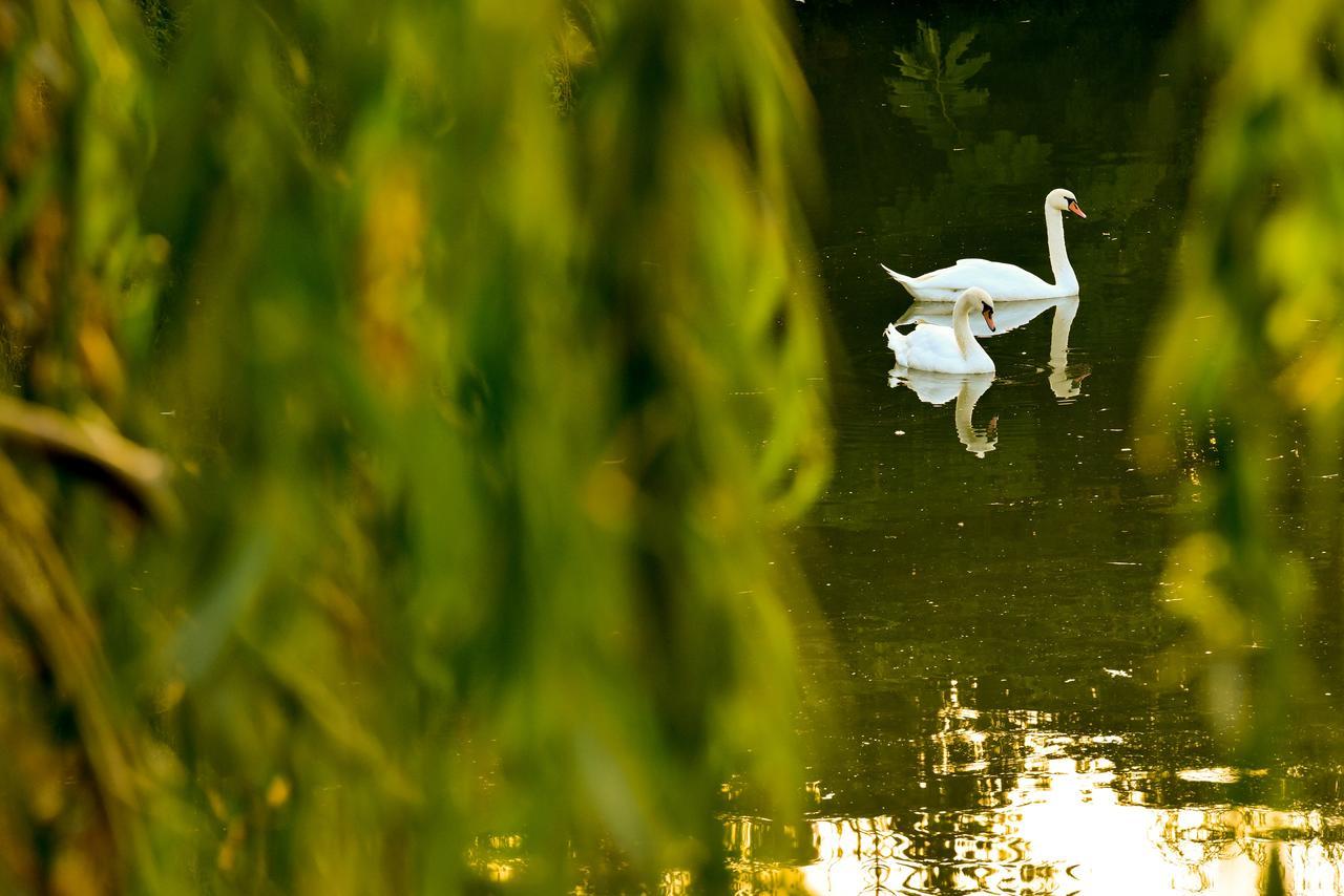 Lacul Verde Resort Ploieşti Buitenkant foto